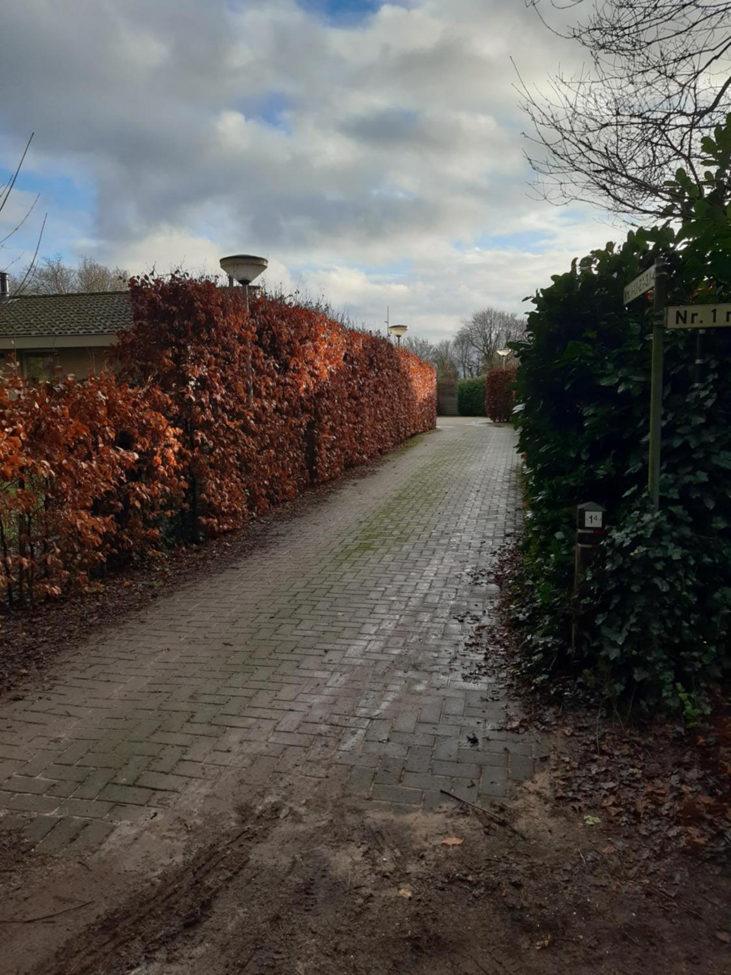 Villa Huinerhofje 3 - Vrijstaand, Grote Tuin, Rust En Veel Privacy Nabij Uitgestrekte Bossen Putten Exterior foto